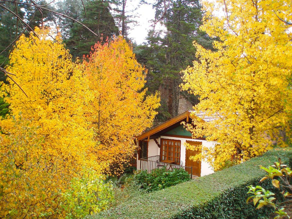 Villa Del Fiume La Cumbrecita Eksteriør bilde